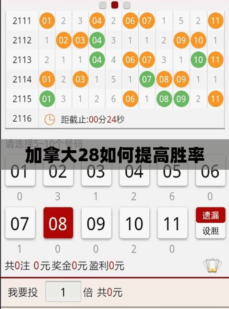 加拿大28如何提高胜率