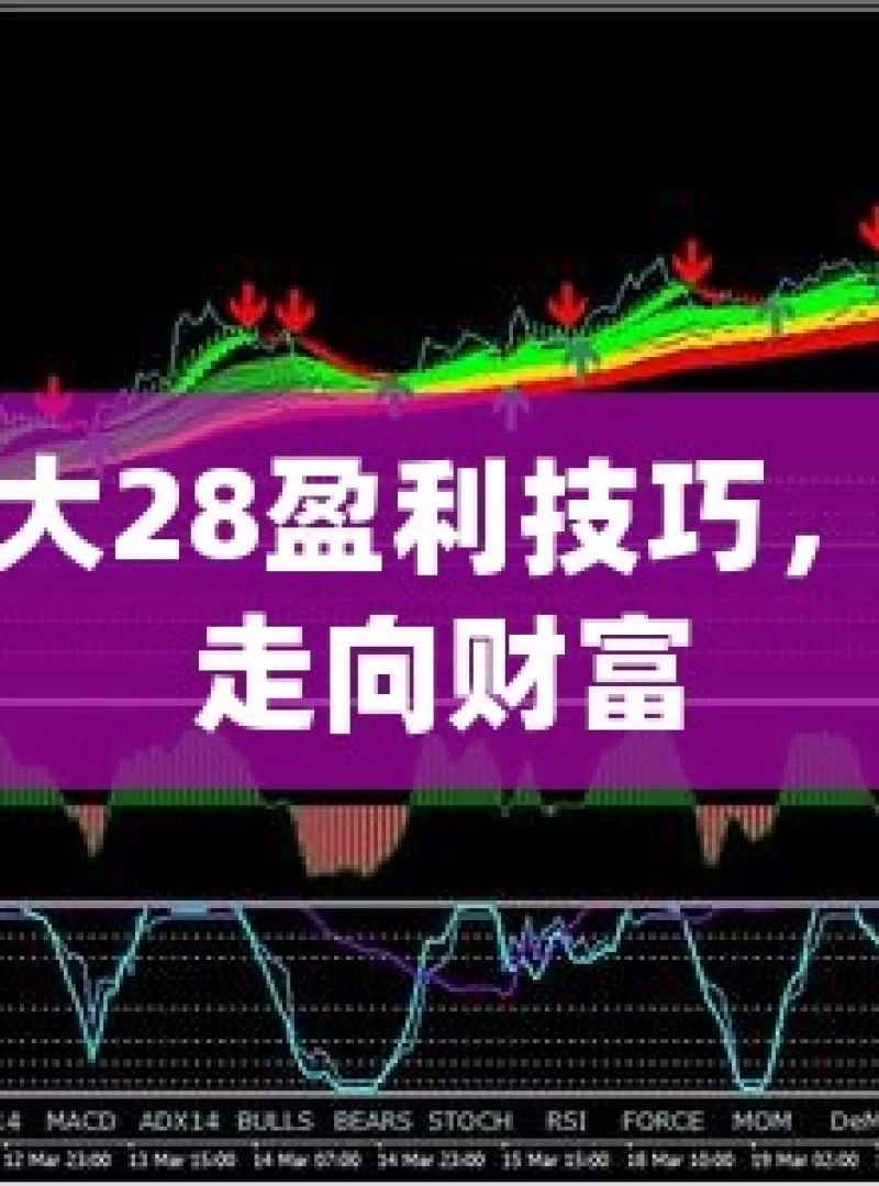 揭秘加拿大28盈利技巧，掌握关键走向财富