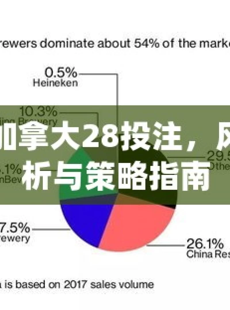 揭秘加拿大28投注，风险分析与策略指南