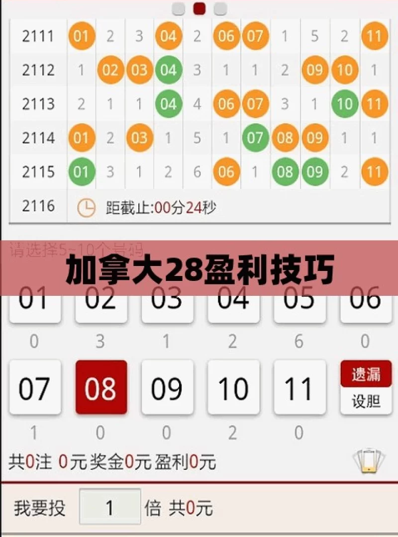 加拿大28盈利技巧