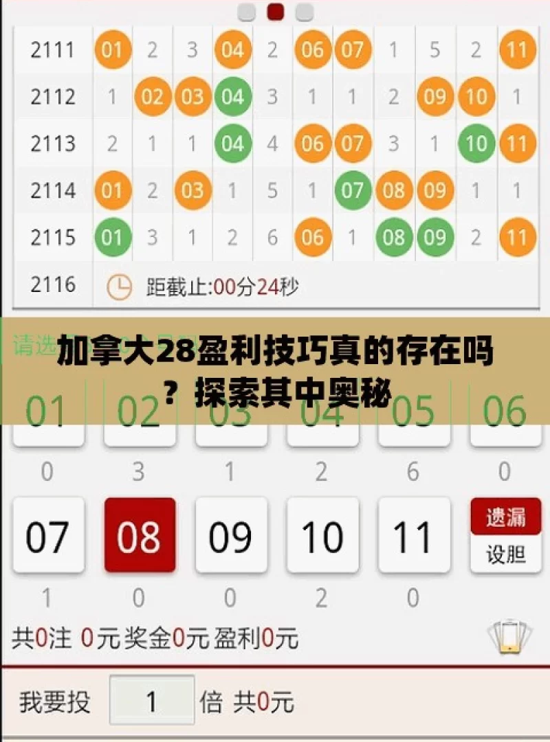 加拿大28盈利技巧真的存在吗？探索其中奥秘