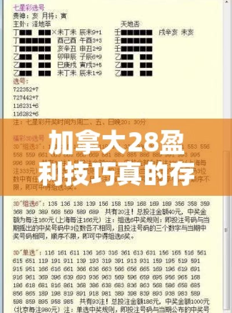 加拿大28盈利技巧真的存在吗？探索其中奥秘