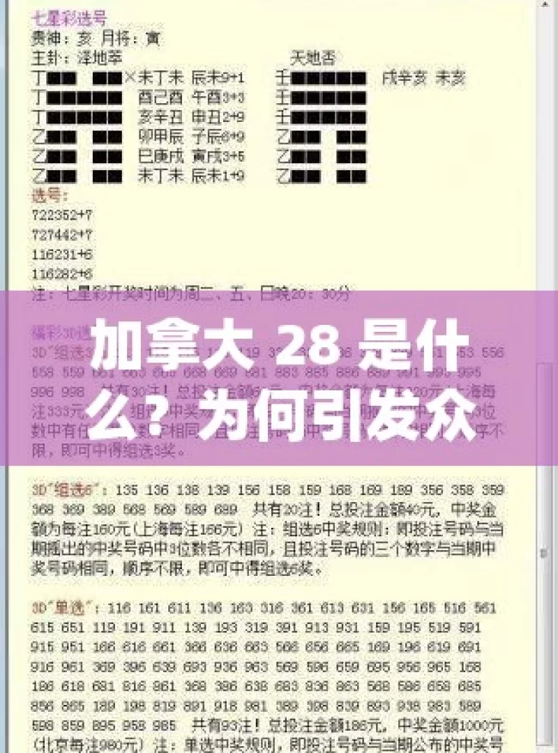 加拿大 28 是什么？为何引发众多关注？