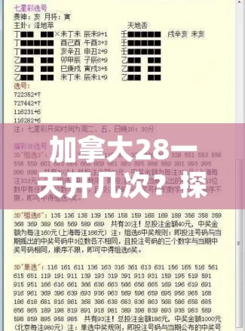 加拿大28一天开几次？探寻其神秘规律