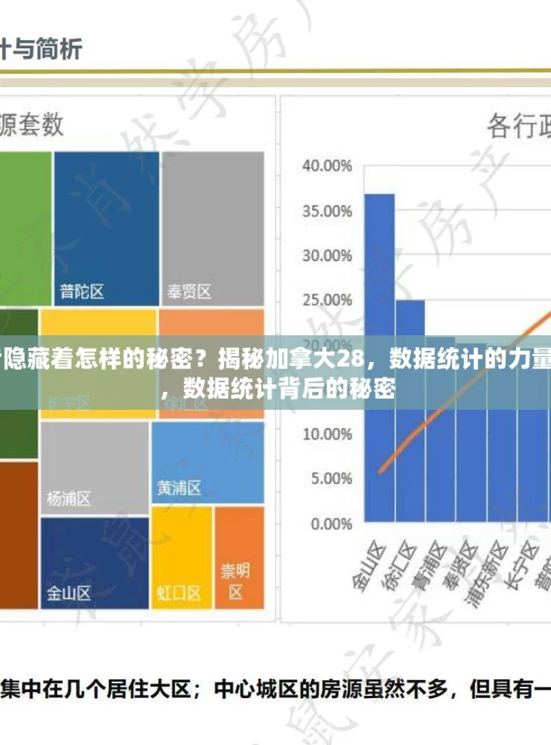 加拿大 28 数据统计与分析，背后隐藏着怎样的秘密？揭秘加拿大28，数据统计的力量，你了解多少？，揭秘加拿大 28，数据统计背后的秘密