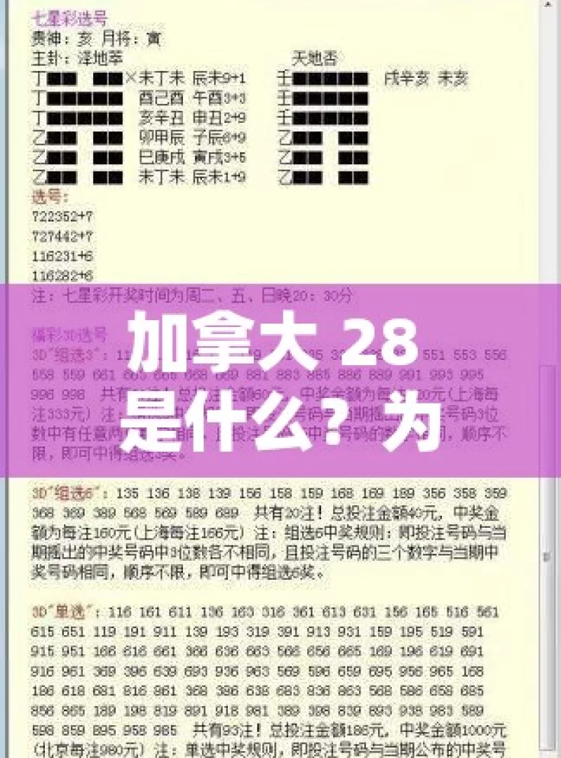 加拿大 28 是什么？为何引发众多关注？，探究加拿大 28 为何引发众多关注之谜