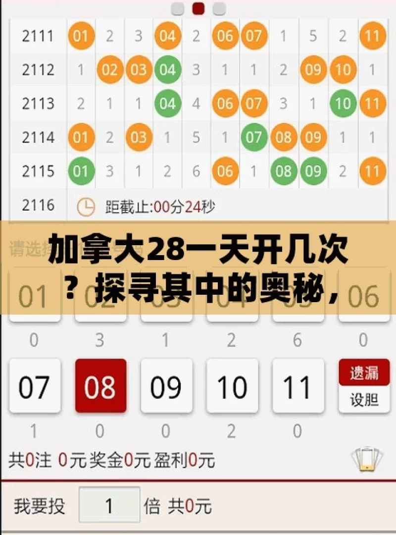 加拿大28一天开几次？探寻其中的奥秘，加拿大28一天开几次？背后的奥秘待探寻