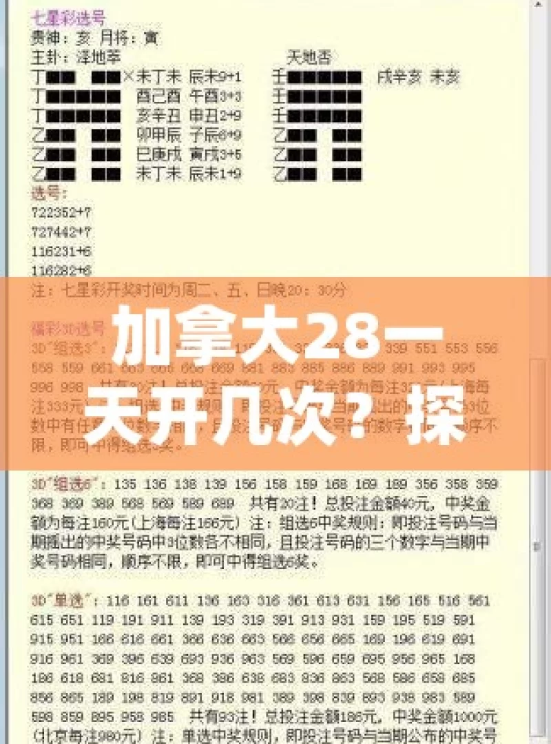 加拿大28一天开几次？探寻其中的奥秘，加拿大28一天开几次？背后的奥秘待探寻