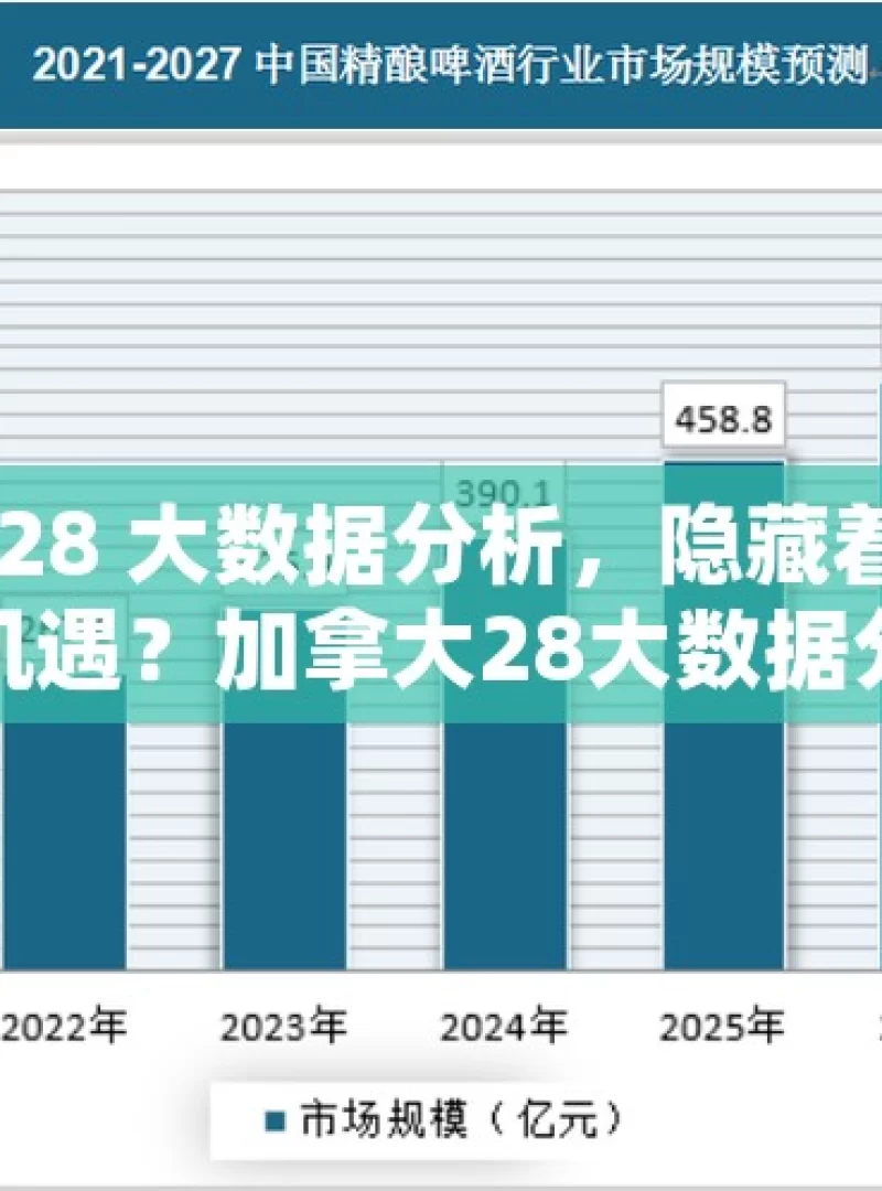 加拿大 28 大数据分析，隐藏着怎样的奥秘与机遇？加拿大28大数据分析揭秘，如何用数字预测未来？，探究加拿大 28 大数据的奥秘与机遇