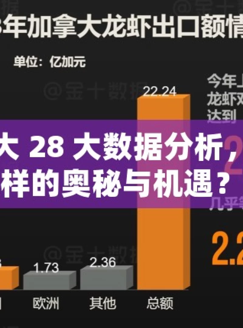 加拿大 28 大数据分析，隐藏着怎样的奥秘与机遇？加拿大28大数据分析揭秘，如何用数字预测未来？，探究加拿大 28 大数据的奥秘与机遇