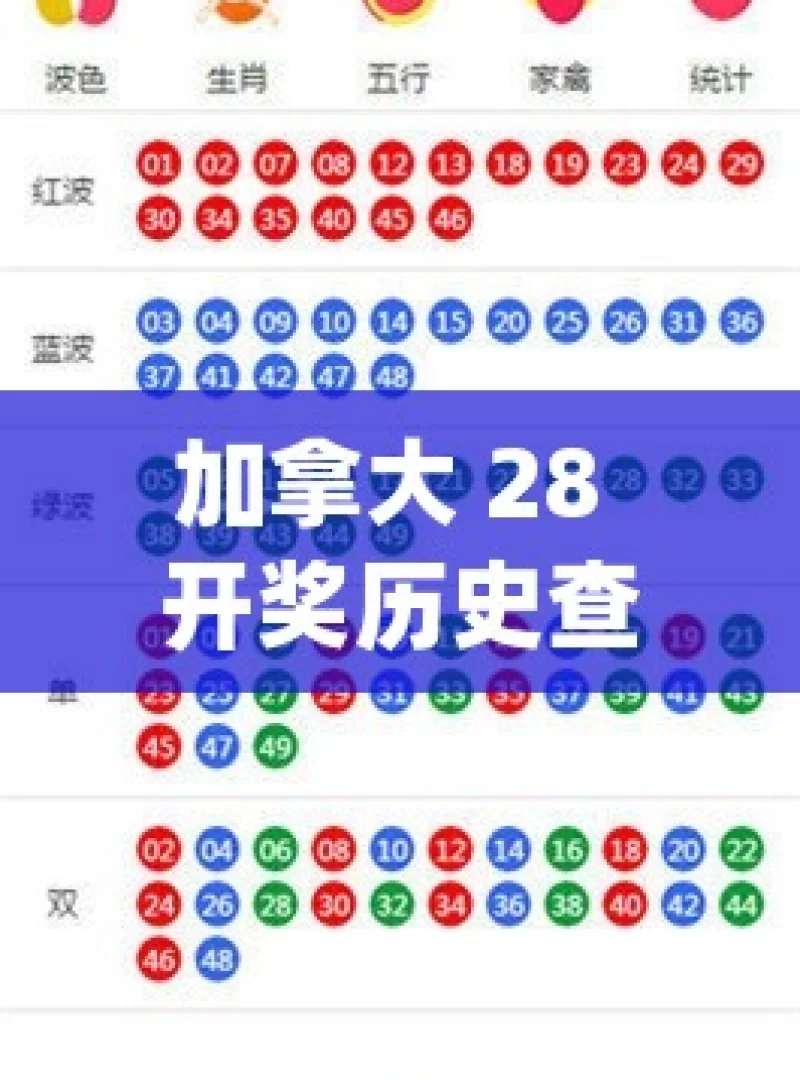 加拿大 28 预测，真能洞察未来走势吗？加拿大28预测，揭秘背后的数学奥秘！，加拿大 28 预测的奥秘探究