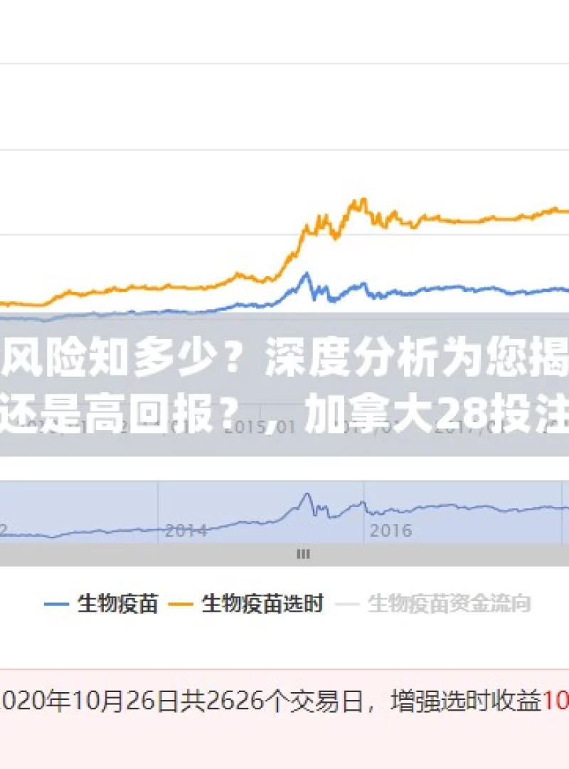 加拿大28投注风险知多少？深度分析为您揭晓加拿大28投注，高风险还是高回报？，加拿大28投注的风险剖析