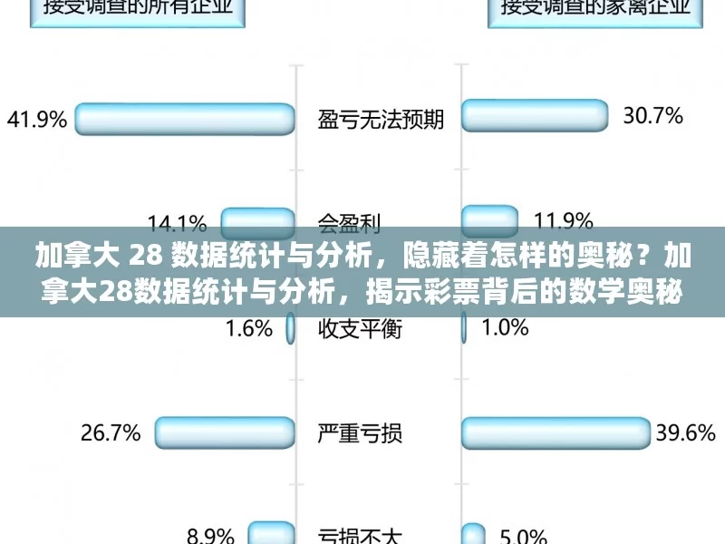 加拿大 28 数据统计与分析，隐藏着怎样的奥秘？加拿大28数据统计与分析，揭示彩票背后的数学奥秘，你真的了解吗？，加拿大 28 数据之奥秘