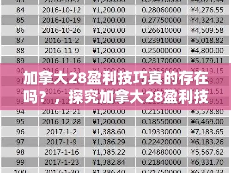 加拿大28盈利技巧真的存在吗？，探究加拿大28盈利技巧的真实性