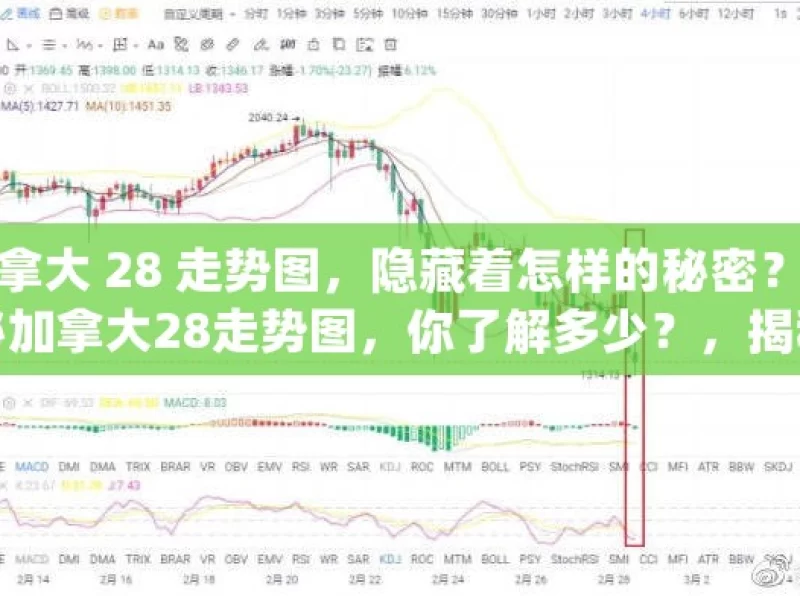 加拿大 28 走势图，隐藏着怎样的秘密？揭秘加拿大28走势图，你了解多少？，揭秘加拿大 28 走势图的秘密