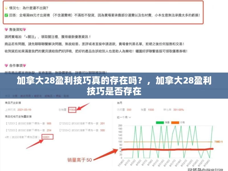 加拿大28盈利技巧真的存在吗？，加拿大28盈利技巧是否存在