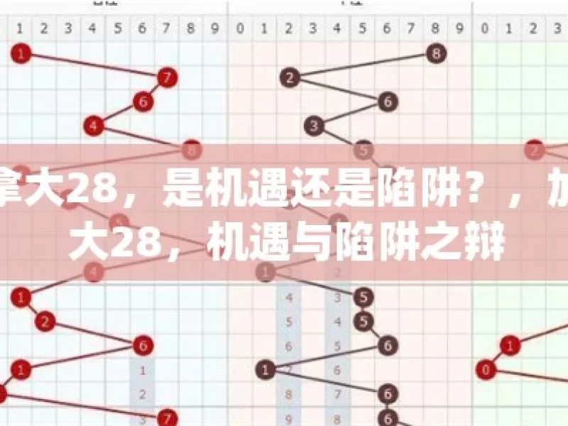 加拿大28，是机遇还是陷阱？，加拿大28，机遇与陷阱之辩