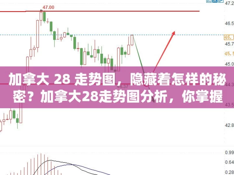 加拿大 28 走势图，隐藏着怎样的秘密？加拿大28走势图分析，你掌握了吗？，加拿大 28 走势图的秘密解析