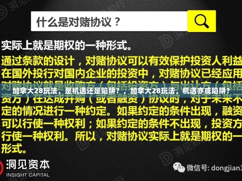 加拿大28玩法，是机遇还是陷阱？，加拿大28玩法，机遇亦或陷阱？