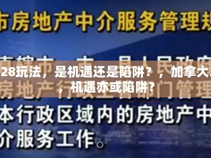 加拿大28玩法，是机遇还是陷阱？，加拿大28玩法，机遇亦或陷阱？