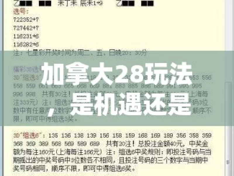 加拿大28玩法，是机遇还是陷阱？揭秘加拿大28玩法，你了解多少？，揭秘加拿大 28 玩法，机遇 or 陷阱