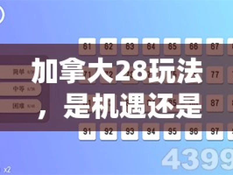 加拿大28玩法，是机遇还是陷阱？揭秘加拿大28玩法，你了解多少？，揭秘加拿大 28 玩法，机遇 or 陷阱