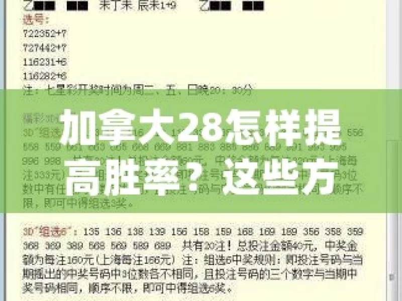 加拿大28怎样提高胜率？这些方法你知道吗，加拿大28提高胜率的方法