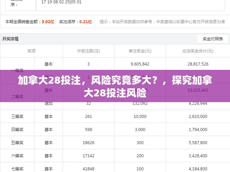 加拿大28投注，风险究竟多大？，探究加拿大28投注风险