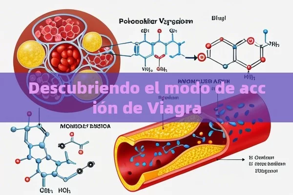 Descubriendo el modo de acción de Viagra