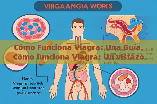 Cómo Funciona Viagra: Una Guía,Cómo funciona Viagra: Un vistazo completo - Viagra:¿Cuál Elegir?