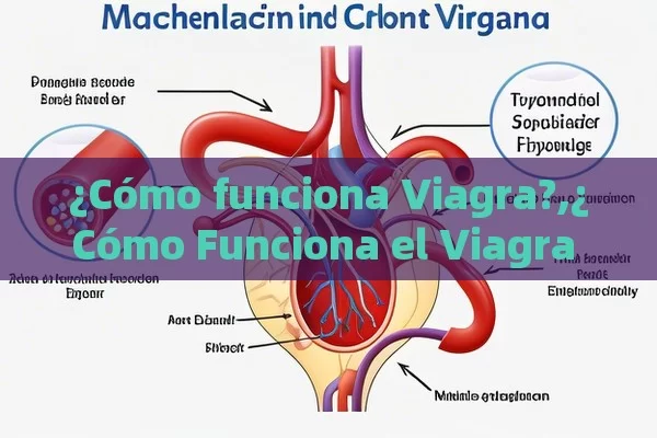 ¿Cómo funciona Viagra?,¿Cómo Funciona el Viagra y Por Qué es Relevante en la Salud Sexual Masculina?