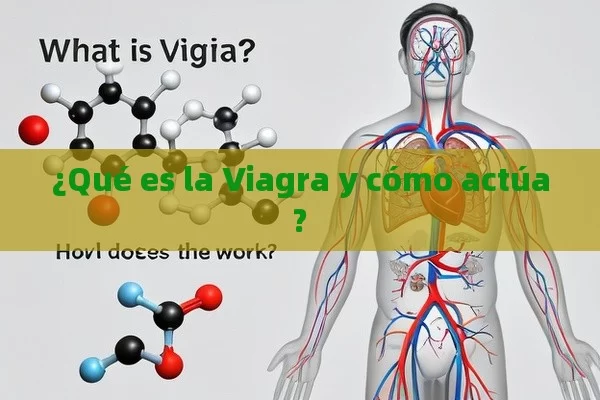 ¿Qué es la Viagra y cómo actúa?