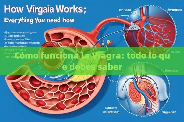 Cómo funciona la Viagra: todo lo que debes saber - Viagra:¿Cuál Elegir?