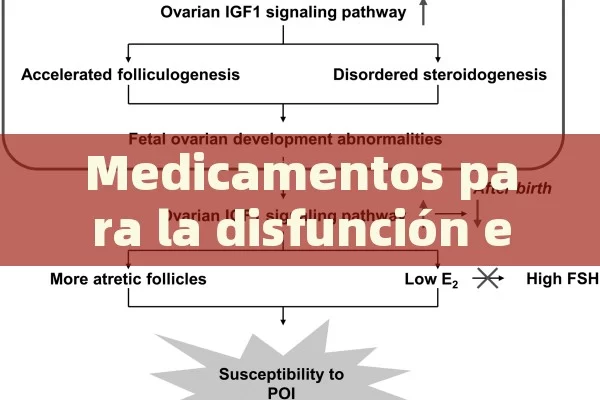 Medicamentos para la disfunción erectil: Efectos y alternativas - Viagra:¿Cuál Elegir?